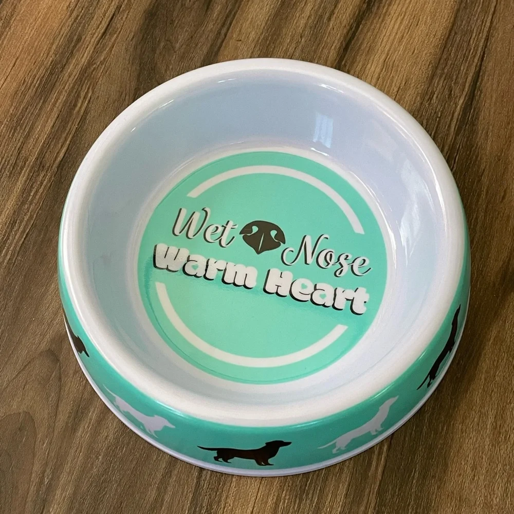 Teal and White Dog Bowl